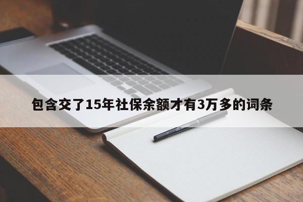 包含交了15年社保余额才有3万多的词条