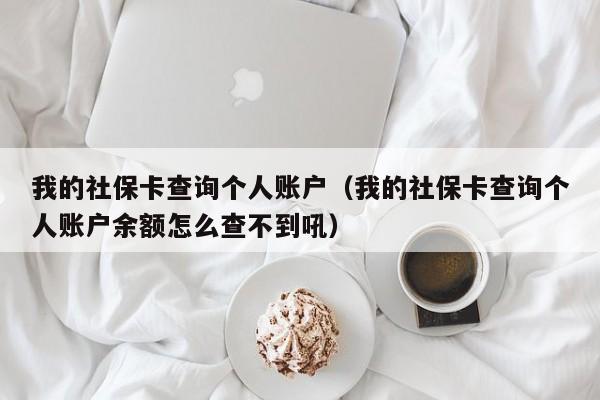 我的社保卡查询个人账户（我的社保卡查询个人账户余额怎么查不到吼）