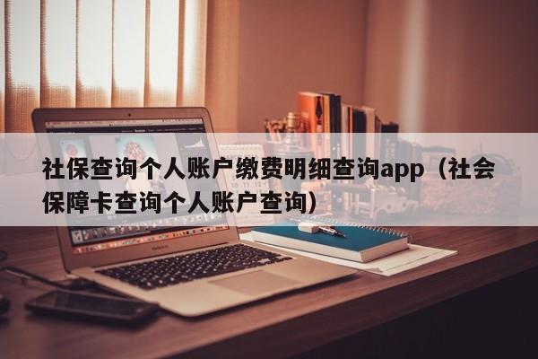 社保查询个人账户缴费明细查询app（社会保障卡查询个人账户查询）