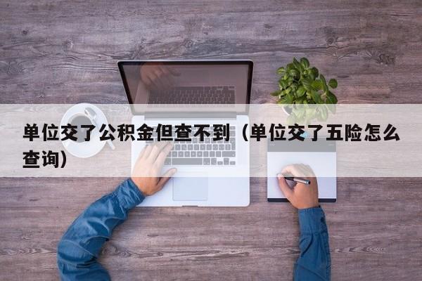 单位交了公积金但查不到（单位交了五险怎么查询）