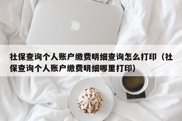 社保查询个人账户缴费明细查询怎么打印（社保查询个人账户缴费明细哪里打印）