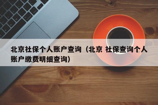 北京社保个人账户查询（北京 社保查询个人账户缴费明细查询）