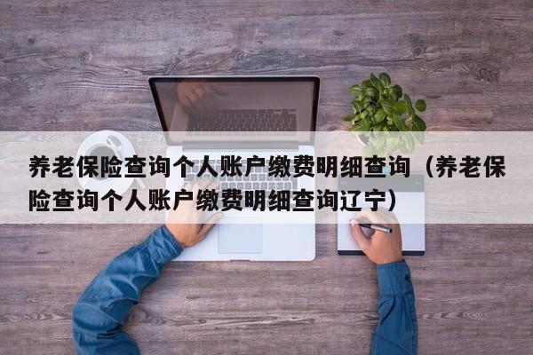 养老保险查询个人账户缴费明细查询（养老保险查询个人账户缴费明细查询辽宁）