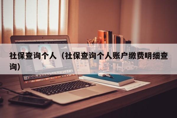社保查询个人（社保查询个人账户缴费明细查询）