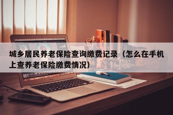 城乡居民养老保险查询缴费记录（怎么在手机上查养老保险缴费情况）