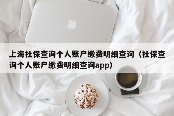 上海社保查询个人账户缴费明细查询（社保查询个人账户缴费明细查询app）