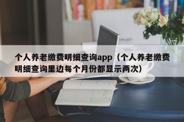 个人养老缴费明细查询app（个人养老缴费明细查询里边每个月份都显示两次）