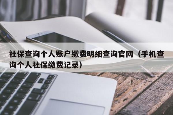 社保查询个人账户缴费明细查询官网（手机查询个人社保缴费记录）