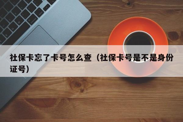 社保卡忘了卡号怎么查（社保卡号是不是身份证号）