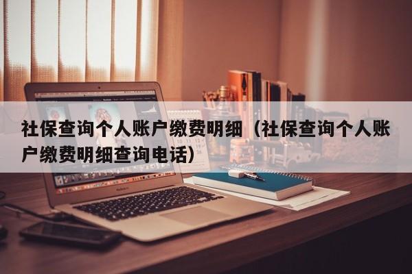 社保查询个人账户缴费明细（社保查询个人账户缴费明细查询电话）