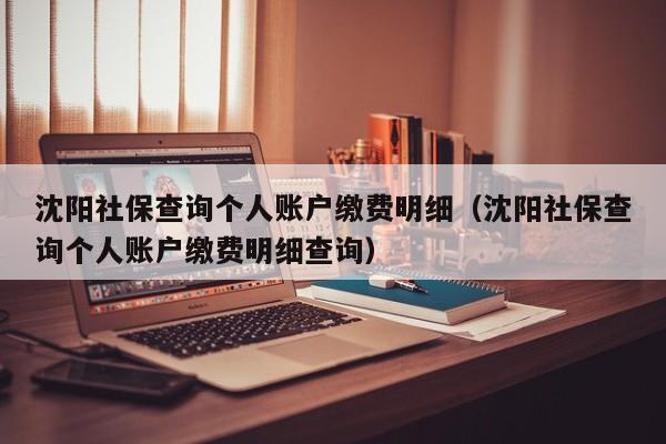 沈阳社保查询个人账户缴费明细（沈阳社保查询个人账户缴费明细查询）