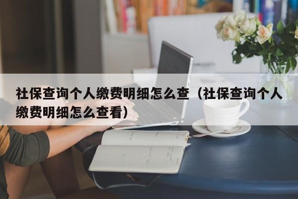 社保查询个人缴费明细怎么查（社保查询个人缴费明细怎么查看）