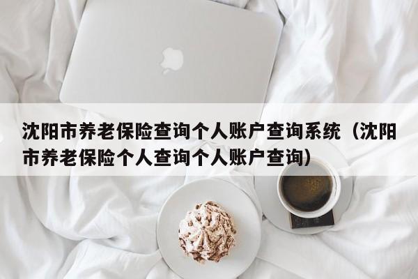 沈阳市养老保险查询个人账户查询系统（沈阳市养老保险个人查询个人账户查询）
