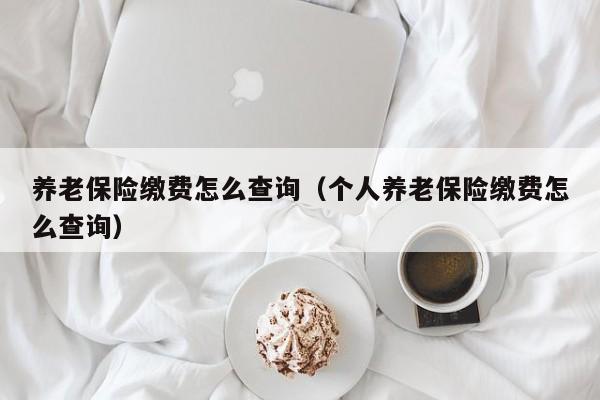 养老保险缴费怎么查询（个人养老保险缴费怎么查询）