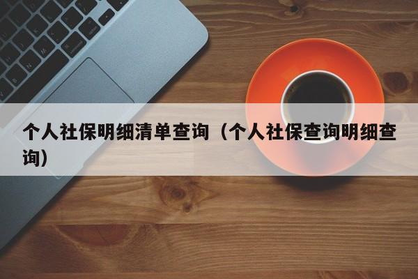 个人社保明细清单查询（个人社保查询明细查询）