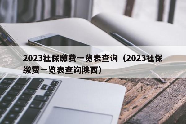 2023社保缴费一览表查询（2023社保缴费一览表查询陕西）