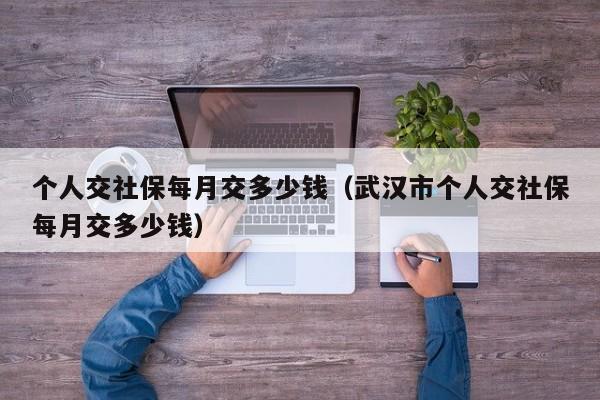 个人交社保每月交多少钱（武汉市个人交社保每月交多少钱）