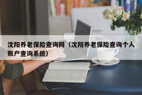 沈阳养老保险查询网（沈阳养老保险查询个人账户查询系统）