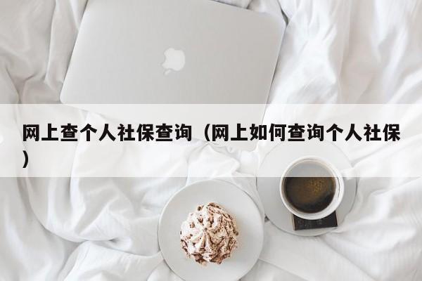 网上查个人社保查询（网上如何查询个人社保）