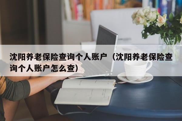沈阳养老保险查询个人账户（沈阳养老保险查询个人账户怎么查）