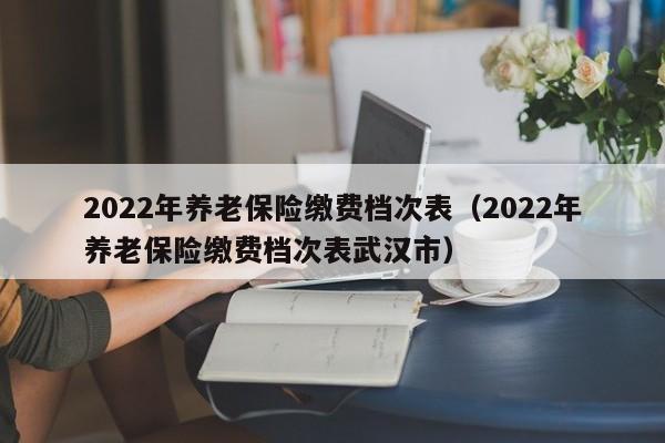 2022年养老保险缴费档次表（2022年养老保险缴费档次表武汉市）