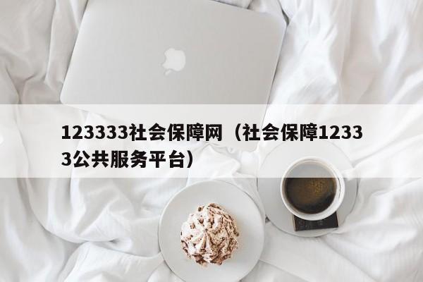 123333社会保障网（社会保障12333公共服务平台）