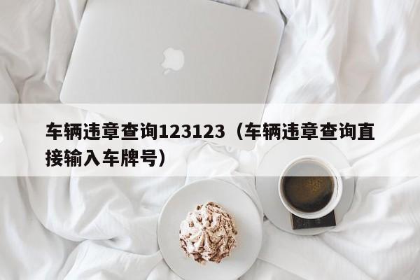 车辆违章查询123123（车辆违章查询直接输入车牌号）