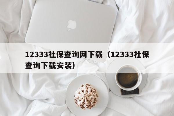 12333社保查询网下载（12333社保查询下载安装）