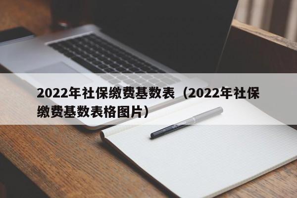 2022年社保缴费基数表（2022年社保缴费基数表格图片）