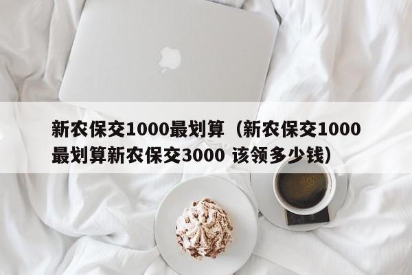 新农保交1000最划算（新农保交1000最划算新农保交3000 该领多少钱）