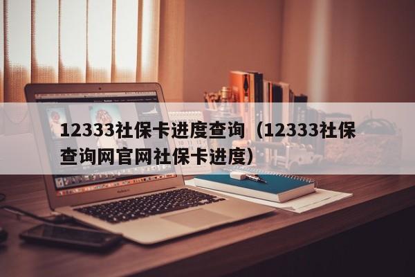 12333社保卡进度查询（12333社保查询网官网社保卡进度）
