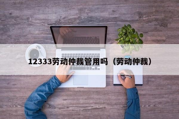 12333劳动仲裁管用吗（劳动仲裁）