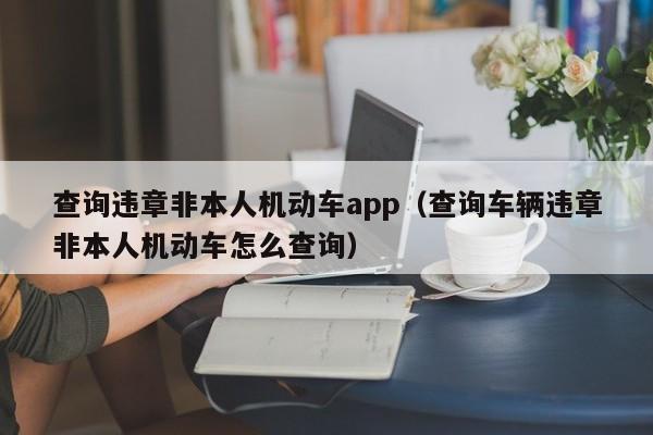 查询违章非本人机动车app（查询车辆违章非本人机动车怎么查询）