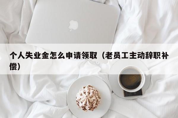 个人失业金怎么申请领取（老员工主动辞职补偿）