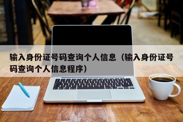 输入身份证号码查询个人信息（输入身份证号码查询个人信息程序）
