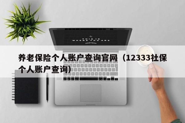 养老保险个人账户查询官网（12333社保个人账户查询）