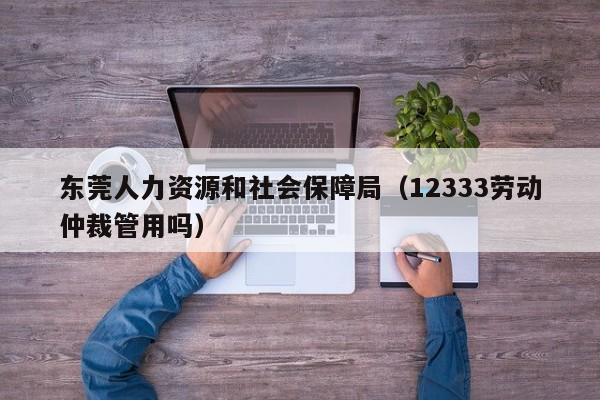 东莞人力资源和社会保障局（12333劳动仲裁管用吗）