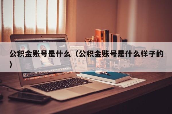 公积金账号是什么（公积金账号是什么样子的）