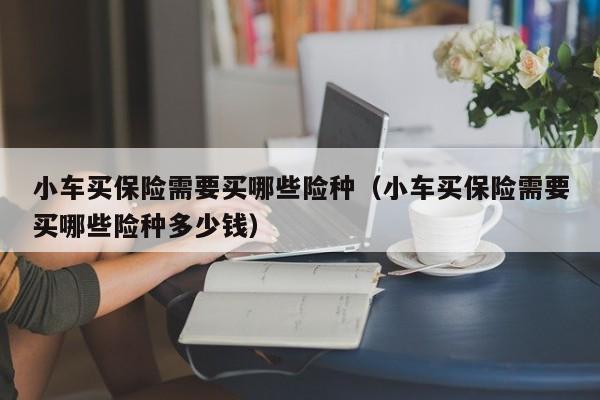 小车买保险需要买哪些险种（小车买保险需要买哪些险种多少钱）