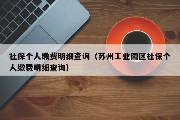 社保个人缴费明细查询（苏州工业园区社保个人缴费明细查询）