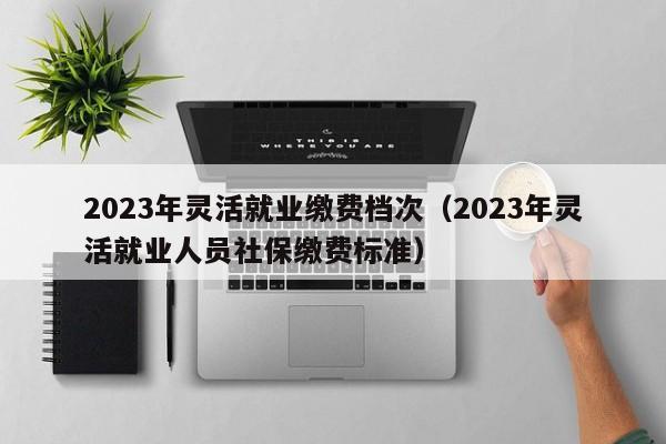 2023年灵活就业缴费档次（2023年灵活就业人员社保缴费标准）