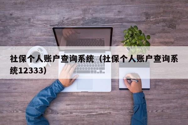 社保个人账户查询系统（社保个人账户查询系统12333）
