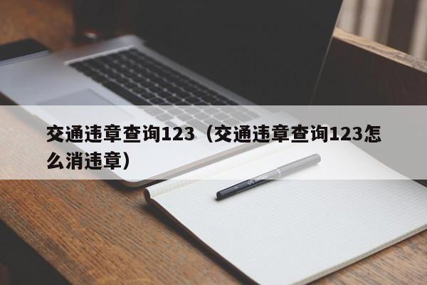 交通违章查询123（交通违章查询123怎么消违章）
