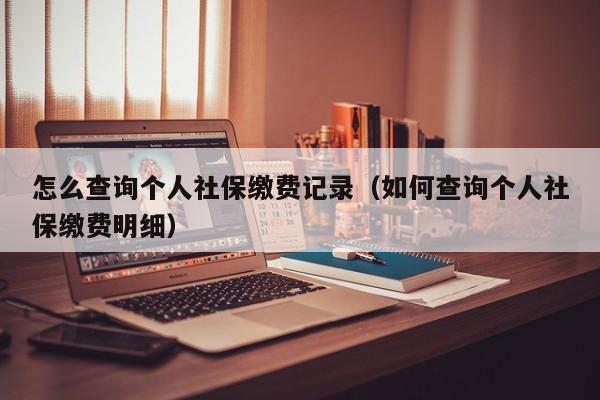 怎么查询个人社保缴费记录（如何查询个人社保缴费明细）