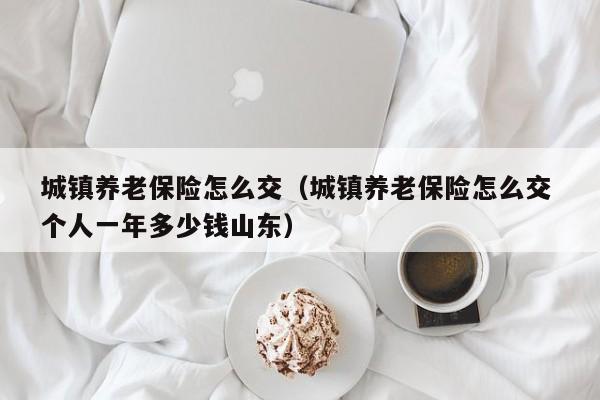 城镇养老保险怎么交（城镇养老保险怎么交 个人一年多少钱山东）