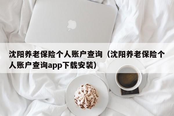 沈阳养老保险个人账户查询（沈阳养老保险个人账户查询app下载安装）