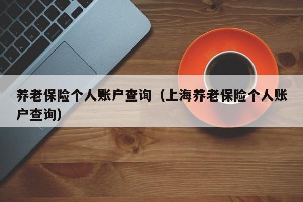养老保险个人账户查询（上海养老保险个人账户查询）