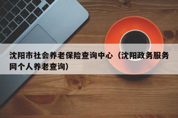 沈阳市社会养老保险查询中心（沈阳政务服务网个人养老查询）