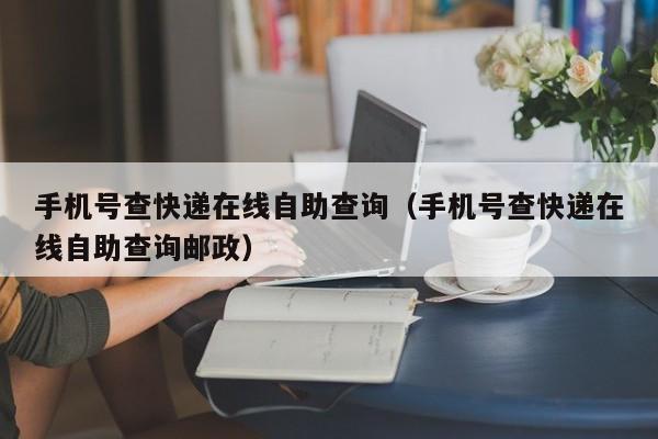 手机号查快递在线自助查询（手机号查快递在线自助查询邮政）