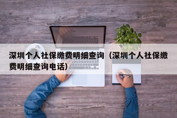 深圳个人社保缴费明细查询（深圳个人社保缴费明细查询电话）